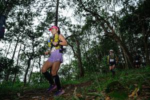 BIB: 
                            <button type="button" onclick="openModal(22560503)" class="btn btn-primary btn-sm float-right btn-popup" data-toggle="modal" data-target=".modal-high-quality">
                        <i class="fas fa-shopping-cart"></i> Add to Cart
                    </button>
                                            <button type="button" onclick="isThisMe(22560503, true)" class="btn btn-success btn-sm float-right btn-popup btn-isme hidden" data-toggle="tooltip" data-placement="bottom" title="นี่คือรูปของคุณใช่ไหม คลิกที่นี่เพื่อเอาเข้าอัลบั้ม">
                        <i class="fas fa-plus"></i> Add to album
                    </button>
                    <button type="button" onclick="isThisMe(22560503, false)" class="btn btn-warning btn-sm float-right btn-popup btn-isnotme hidden">
                        <i class="fas fa-ban"></i> Remove from album
                    </button>